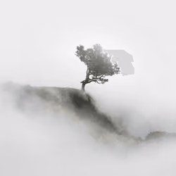 Im Nebel 