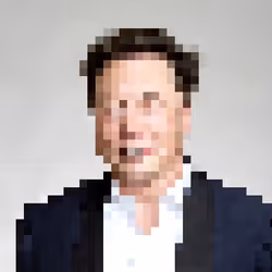 Pixel Icon #3 Musk