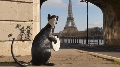 Koons Monkey & Ratcoin NFT