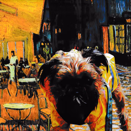 Biggie's Café Terrace at Night