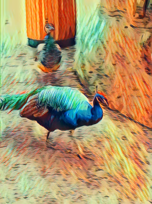 Item #40767780505199480056822134959254116882416403955440335398043331418040068734977 Media