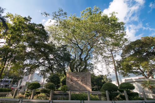 Item #89172129720886648036807795116566036481674654944492279906955746385362354700289 Media