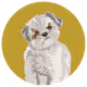 54766349128176429303044182404049584425310907481653304317570414052978123079681