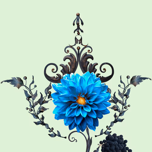 31504810074544391759097526868934907454712974956869218626323321125615624519683