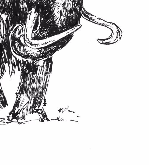 Item #16195433306856051888903749949556693918843951112592603296466080061261969620993 Media