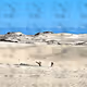 Sky Above My Feet Sand Beneath My Head