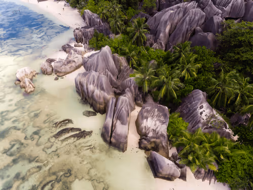 Aerial Aesthetics