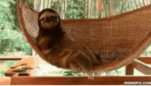 Untitled Collection #26977678