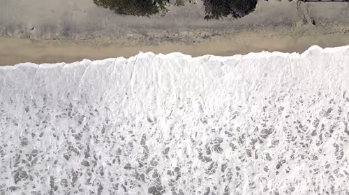 Item #20690686598406327978537158336164426387947003883481915028812449975089011621896 Media