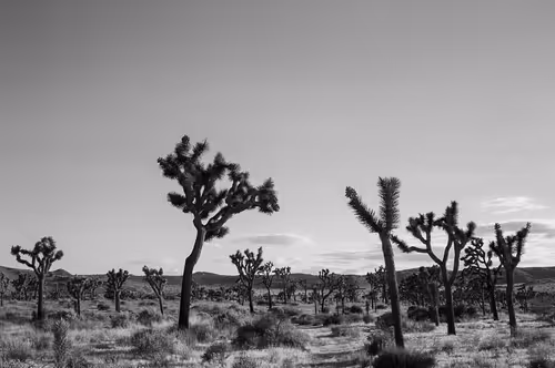 Item #43855545179559374949578343538533146521052449225092810466716167747444796293121 Media