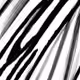 76936279430221401110240549596977709587770845856258595246897764027297897119745