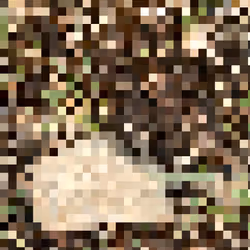 2850415134272365380187775685678842410458265265709128331682257672302026031105