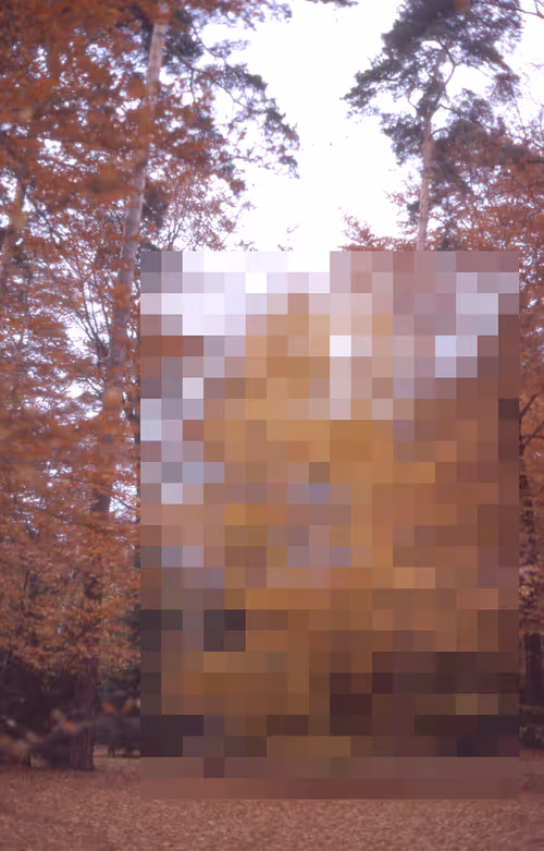 Item #29795255332801019557670575454417668975599355063709469238415452646210053079041 Media