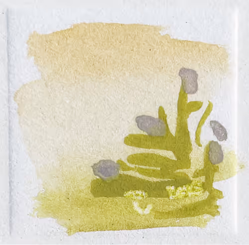 Item #86756770768904532488236702972486454057254131491409441498843533370947268509697 Media