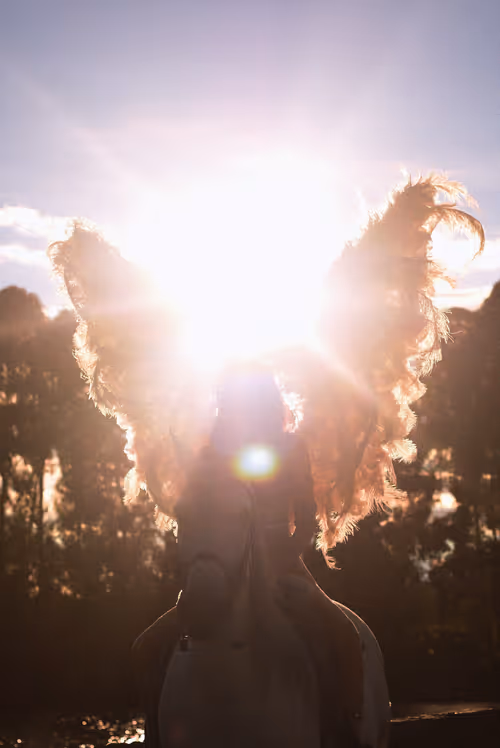 Item #10311560237288479791245027674378898479116131956774636101046368693189695504385 Media