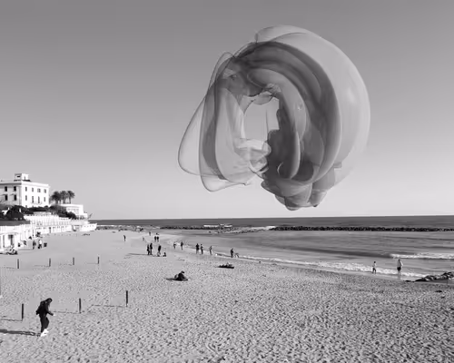 Item #70289046270216540615569387337235414738610929699744131839351085621781452554241 Media