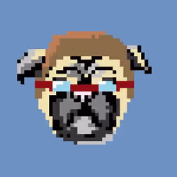 Unimpressed Pug #019