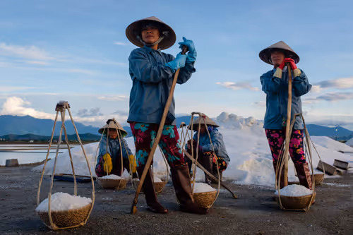 Item #44380994338133063636427405274069008736849147253072084515634940317304560287745 Media