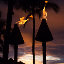 #007 flames