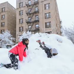 Manhattan Under Snow #018