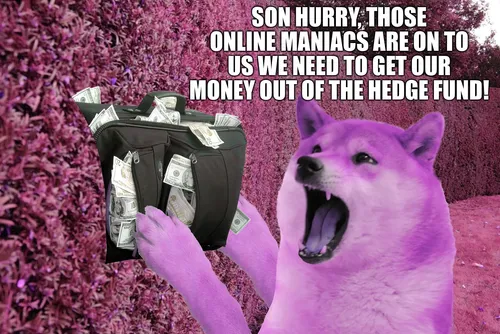 Item #35416579311940555386877027106883133557986698249173124823505168681563815149569 Media