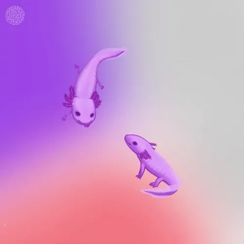 Artists Collaboration