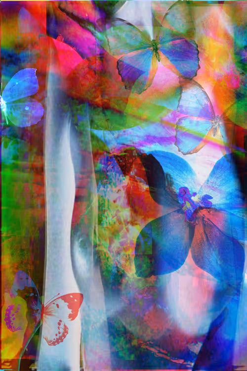 Item #104799570988119714427954054676979440464158466927828591179901474822388738686977 Media