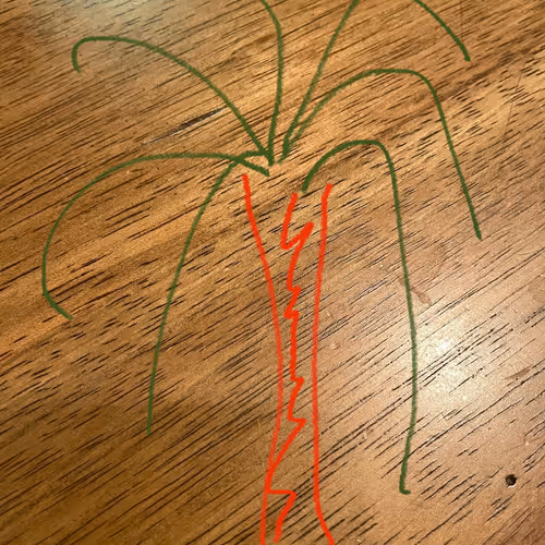 The-TEG-Man Collection