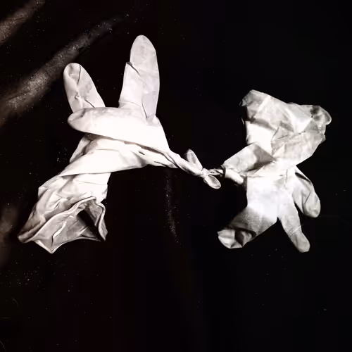 Item #19579465332489047460725573155417411555821182543570600011556976605985612234753 Media