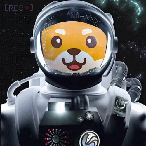 NFT| AKITA & POLARFOX| TRIP TO SPACE 