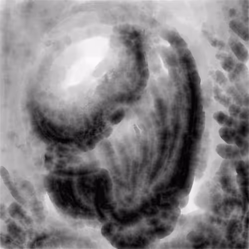 Item #20380569636516060626004001520646901486948118431845625458132693735692461670401 Media