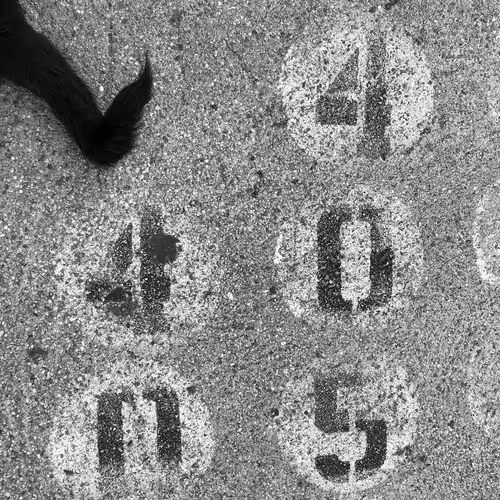 Item #56431751608181922231259635946092067407977788553703326303680802270068804157441 Media