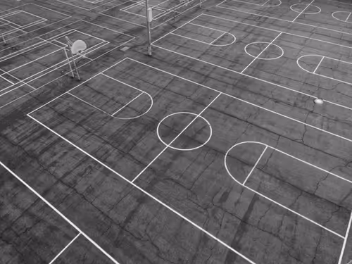 Item #102940333982406916741788290605586122935869153041698205063825610426517756575745 Media