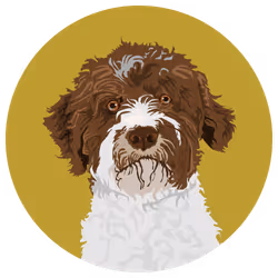 54766349128176429303044182404049584425310907481653304317570414047480564940801