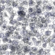 12406465350953936736982779590327937859786756456093414208146308651541206138881