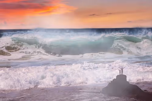 Item #94302163411569095589289123968041002973019814470584416299482263027368218066949 Media