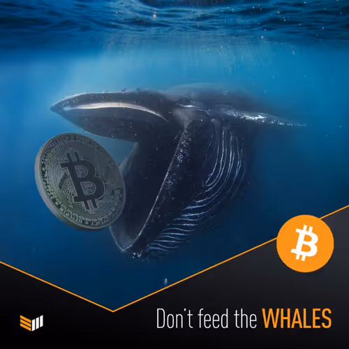 Untitled Collection #36098045