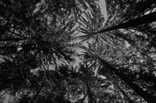 Item #13606181839721576894155883308236999132816604807813273145513526385751130898433 Media