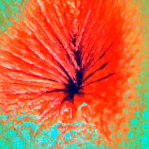 Item #38748192286267356930689689992324455160612969586483070519053316923728798416897 Media