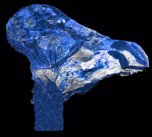 Item #18063966590187803564983313972252836895288362682890717819958697106518417866753 Media