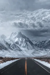 Item #73630859037005538683816397767903648000848947803221416761979457281686581018625 Media