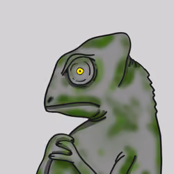 Chameleon shock 0037