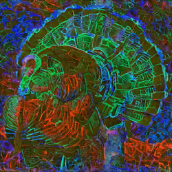 Turkey37