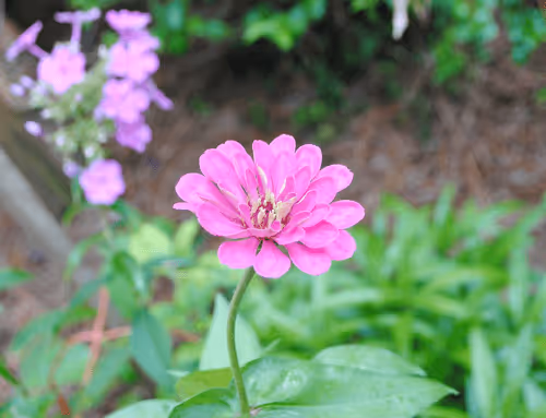 Item #40090172695085413256965535555586358742660933280315103792741764913053090971649 Media