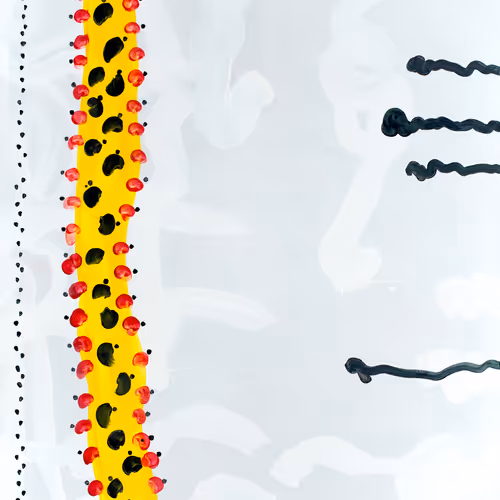 82389879720576235689883874954171763006981900768382394728967861643134655004673