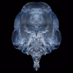 85859191866638808365331437874953228966785819470149775310971063473722110246913