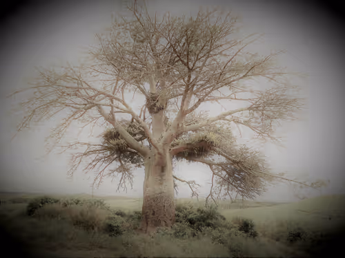 Item #79891436161549541429884862344900251113171213125295126698961100632869568512001 Media