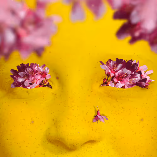 Item #7899364332096867904210559349392739879553261430886230105902976390329232523265 Media