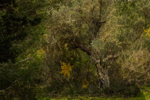 Item #1448819722811812157553440872911488319417736624981688873626406761692905078785 Media