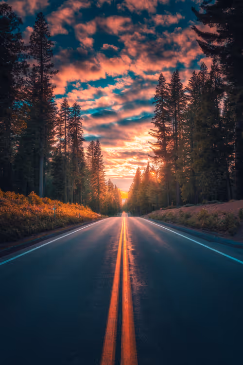 Item #62546128571173573861370652936856218284243546780344801453551937488231130464257 Media